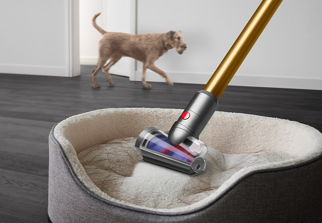 Dyson Hair screw tool cleaning a pet bed.