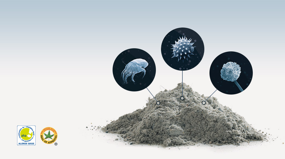 Dust introduction background