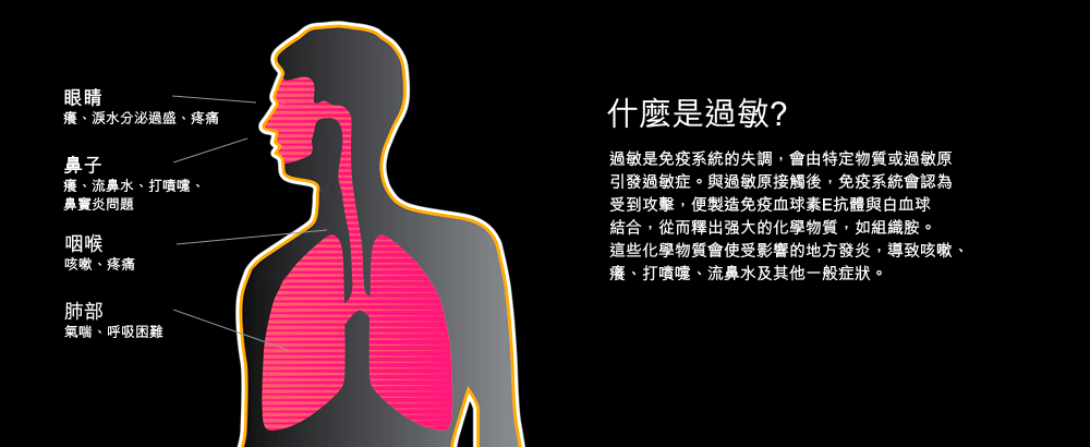 What is an Allergy? - Background image