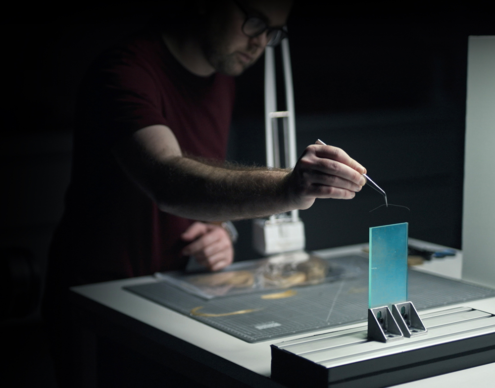 Pet sleeping on sofa covered with pet hair