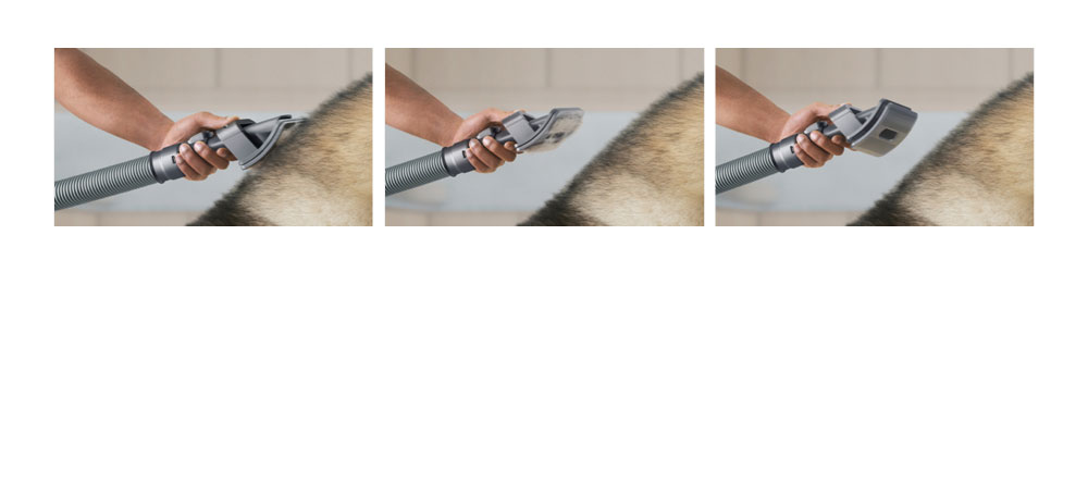 Grooming a pet with the Pet groom tool