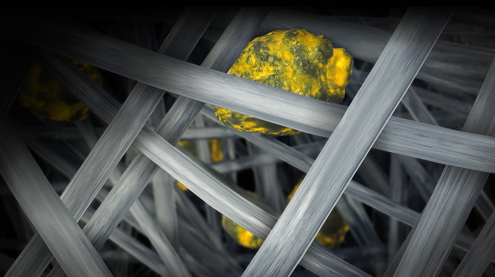 Dyson microbiologists study microscopic particles