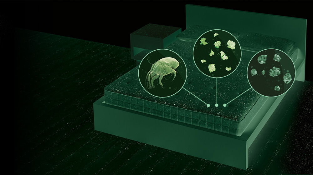 The Dyson V7 Mattress vacuum. What's lurking in your mattress?