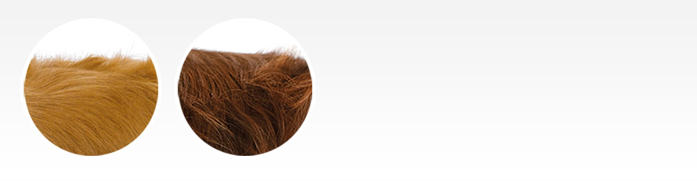 Medium and long fur