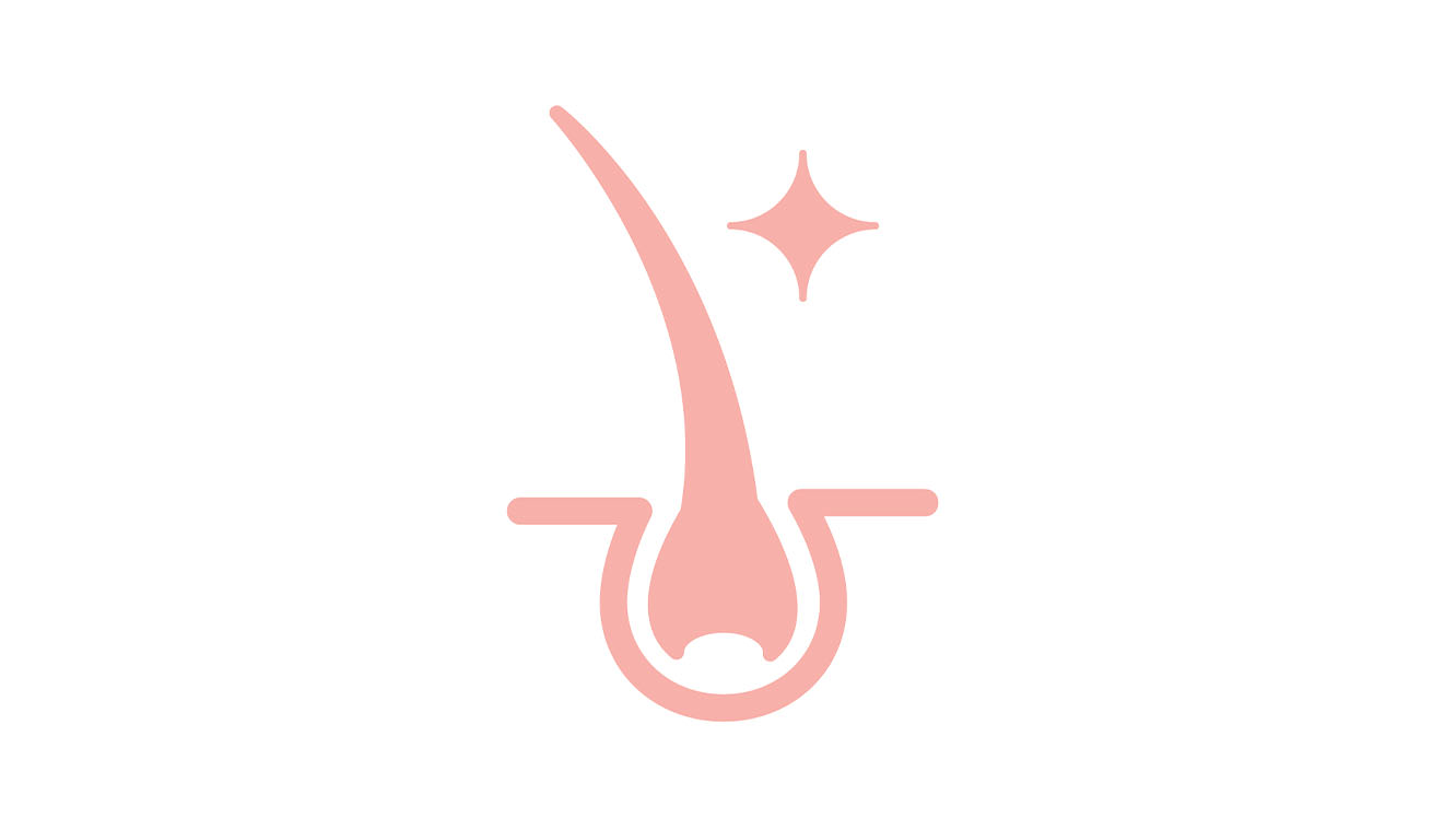 Hair follicle icon in pink.