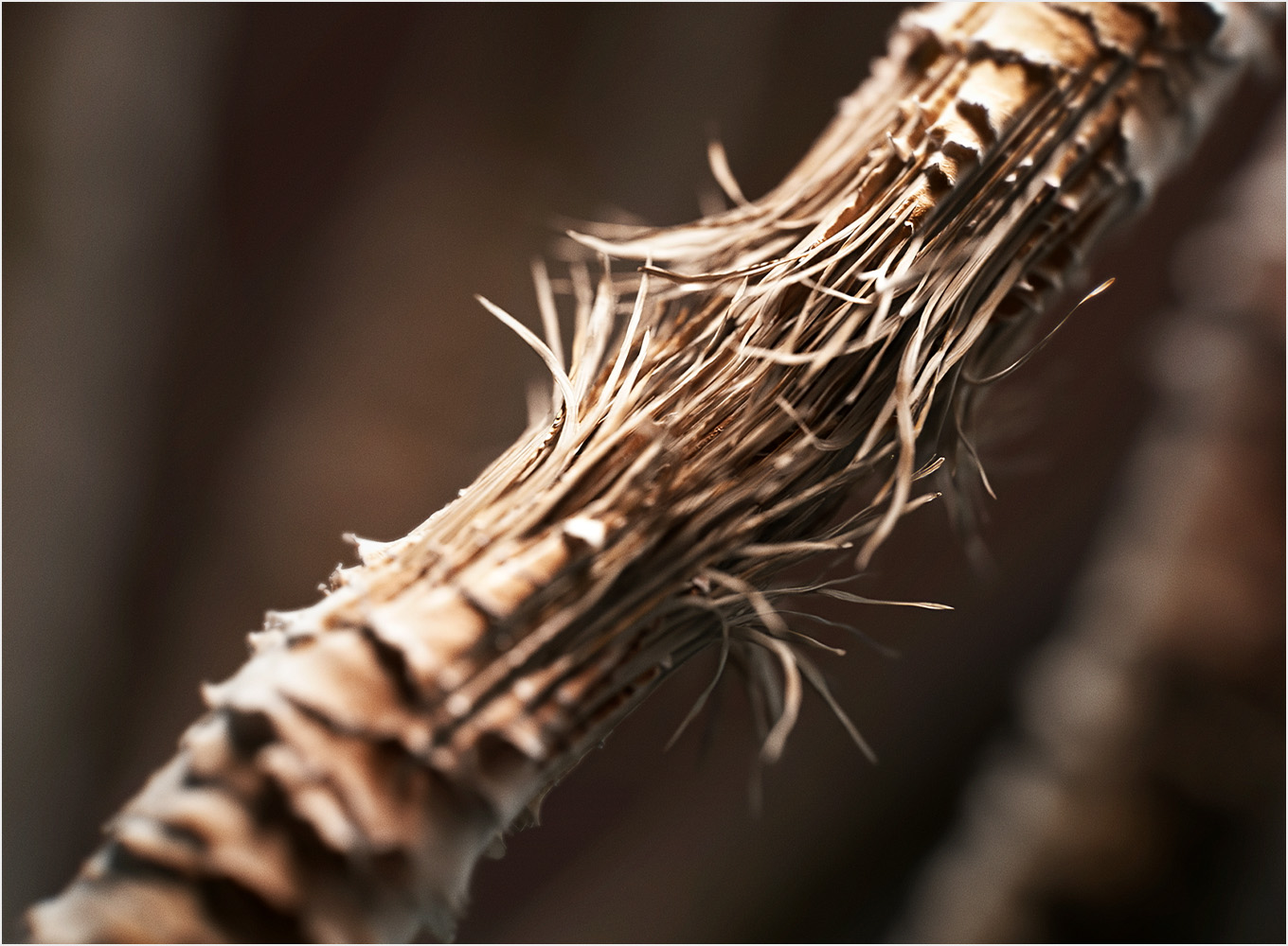 The Dyson Corrale hair straightener in Nickel Copper